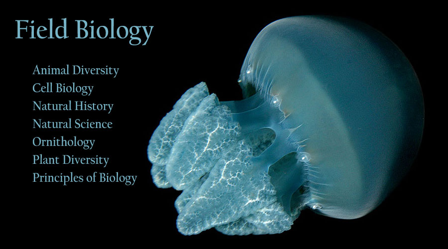  Field Biology 